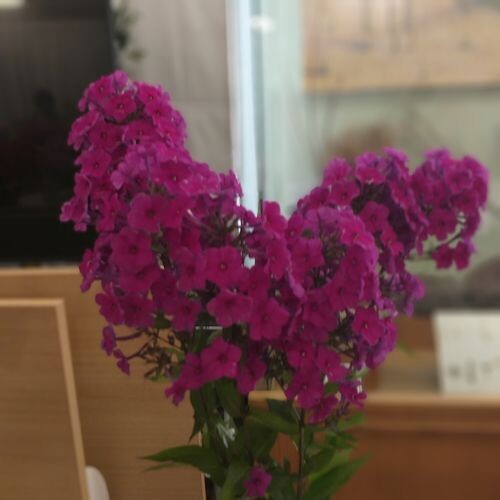 20230809_122049021bbd943c7f6bb4.jpg