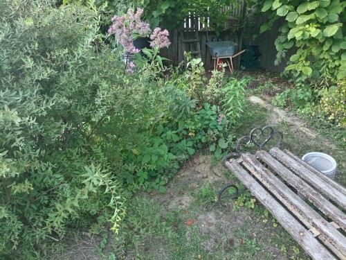 IMG_20230907_1804066769c15db5db06e2.jpg