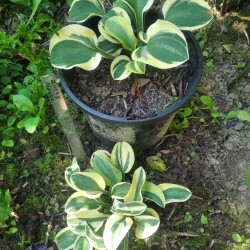 IMG_20230805_1403107fc66b666a096657