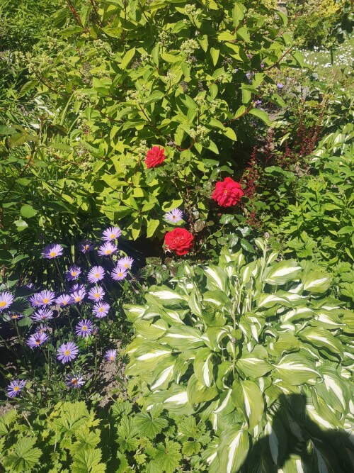 IMG 20240614 125355