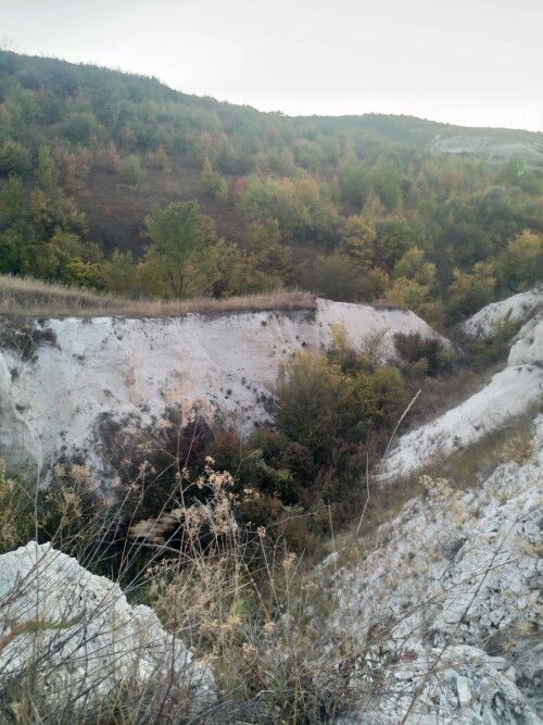 IMG 20240928 180148