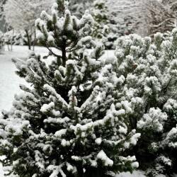 IMG_76668d451f61a4ee7183