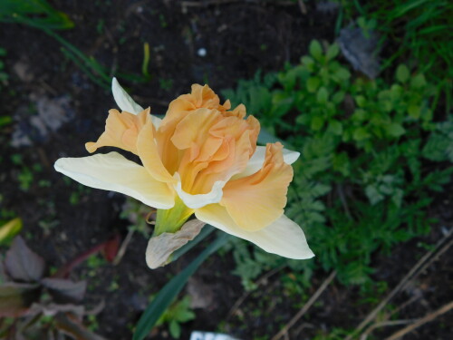 DSCN367693d8e948f750cb76.jpg