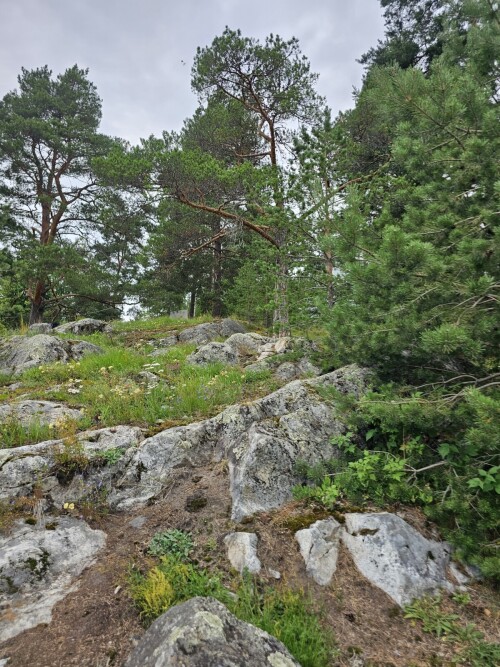 KAMNI-NA-BAZE6b26de6d169bb662.jpg