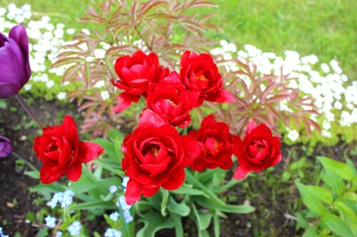 0223cc3f20ab969a974.jpg