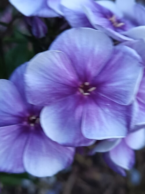 IMG 20240715 211311 955