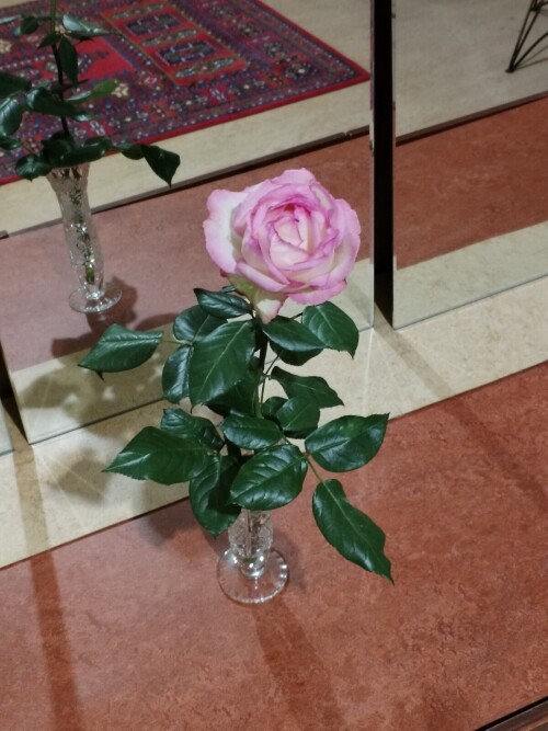 IMG 20241005 085543
