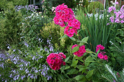 DSC071216ae9ddca357ba0eb.jpg