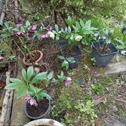 IMG_20240512_0913002cd3130d09438f37