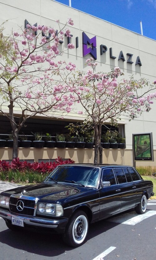 Cosi-Multiplaza-Escazu-Autopista-Prospero-Fernandez-COSTA-RICA-LIMUSINA503f2aa17cc9735a.jpg