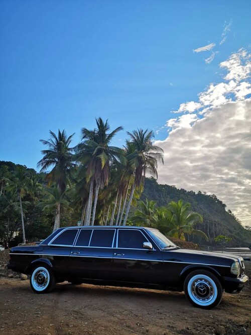 JACO-BEACH-PALM-TREE-LIMOUSINE-COSTA-RICAd6129bbaf164c81a.jpg