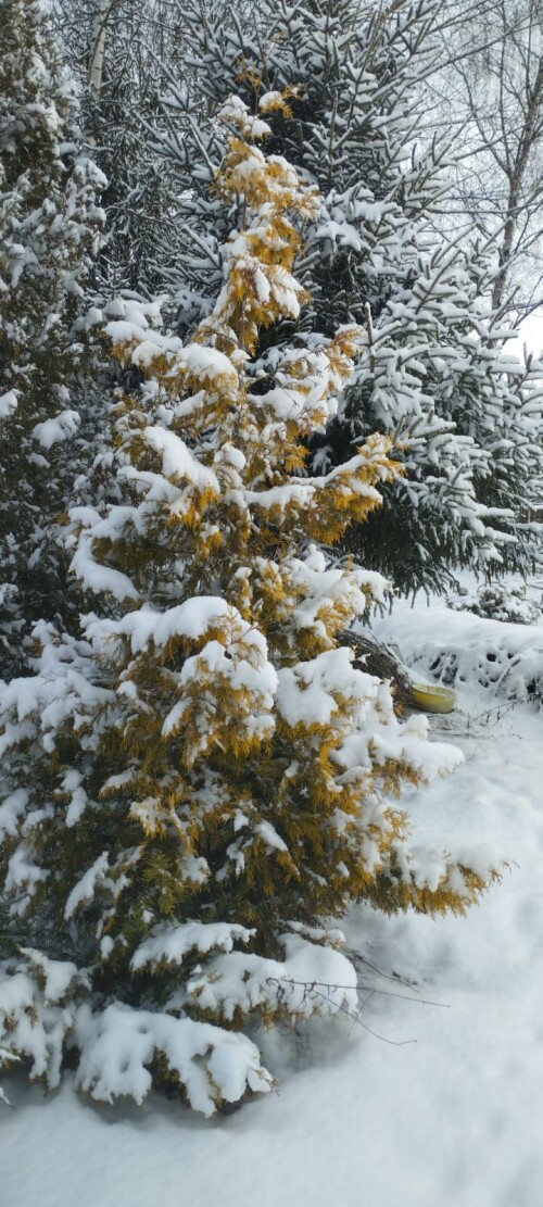 IMG 20250219 WA0036