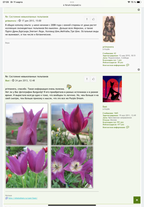 IMG_100768561ac96965e8ae.png