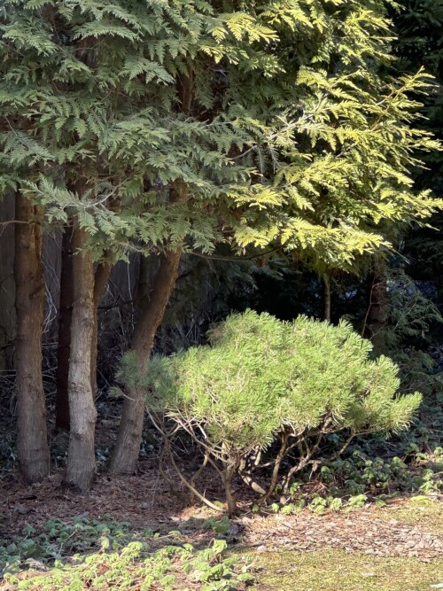 01188f445663e25cc24.jpg