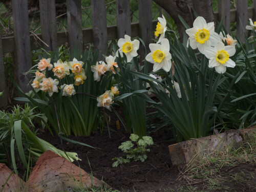 P4279284bb345f961357e596.jpg