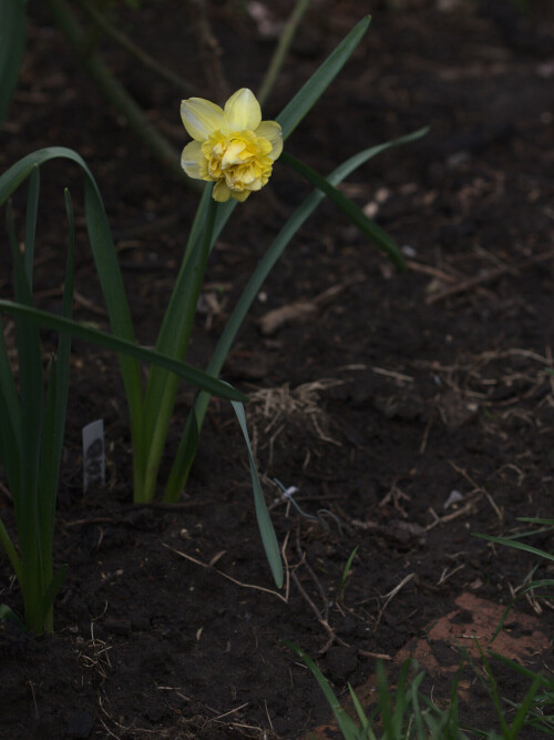 P5029307952fe79f37bd846f.jpg