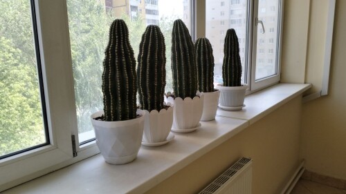 photo 2025 05 07 10 17 13