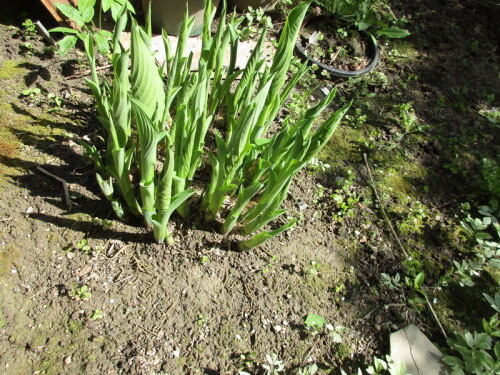 IMG_473132d559cc020075da.jpg