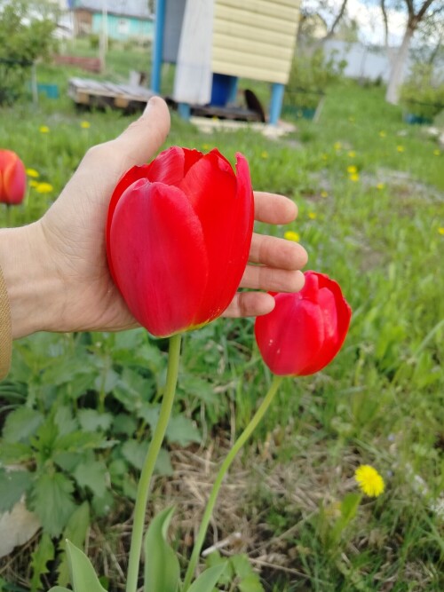 1000011135dcbb99ed1fa71544.jpg