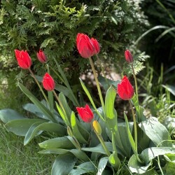 IMG_8357b0ff957c60b9eeda