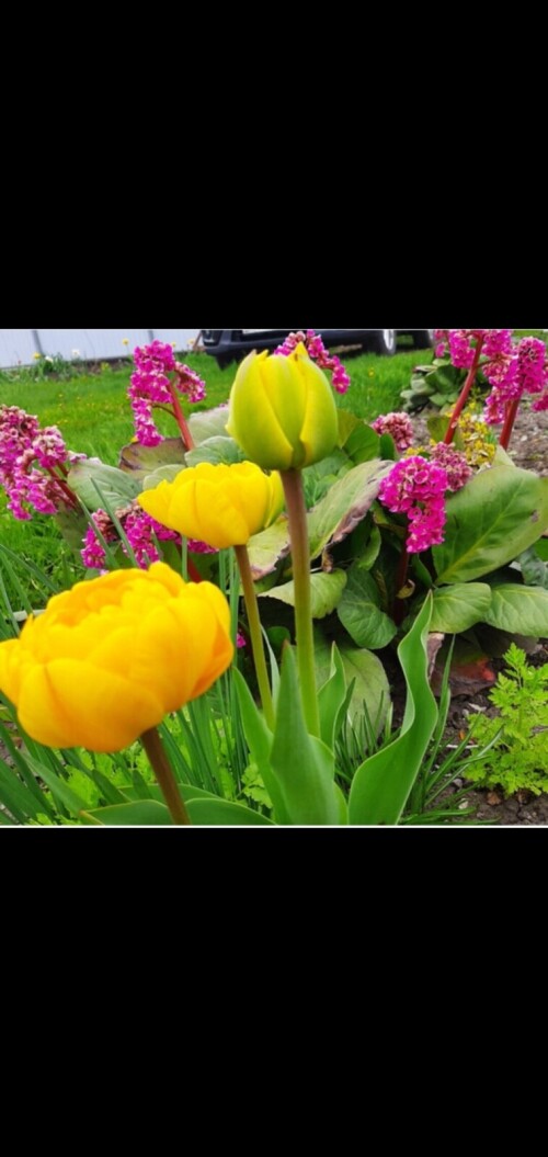 Screenshot 20250516 123457 Gallery