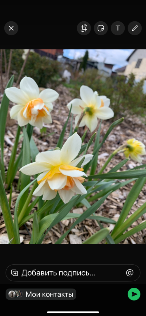 IMG_4437091018512789f30a.png