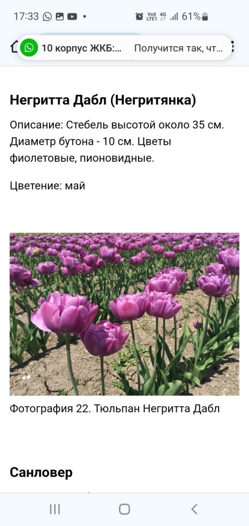 Screenshot 20250519 124401 Gallery