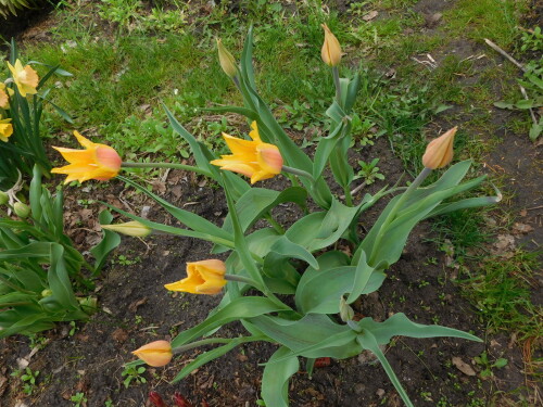 DSCN8998