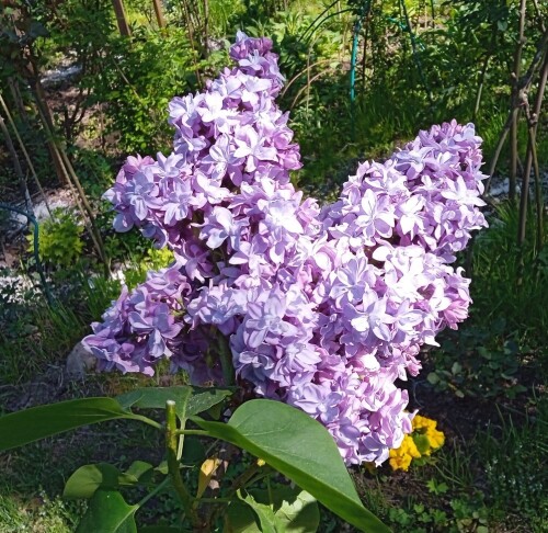 NADEZDA-25-5cc2c75de97858716.jpg