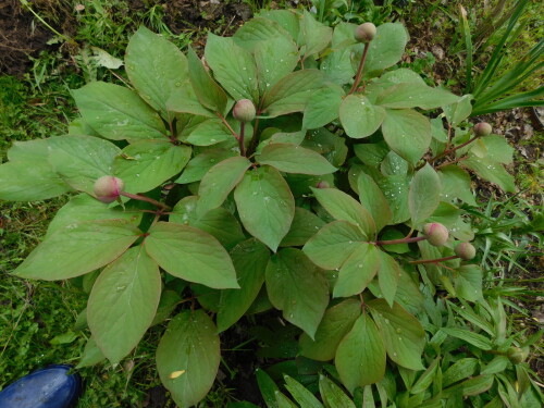 DSCN9257f7b770628db07cc7.jpg