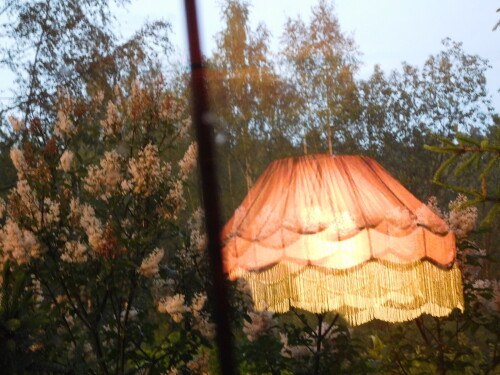 DSCN9924