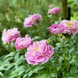 IMG_9022b8bf80272be0e30d