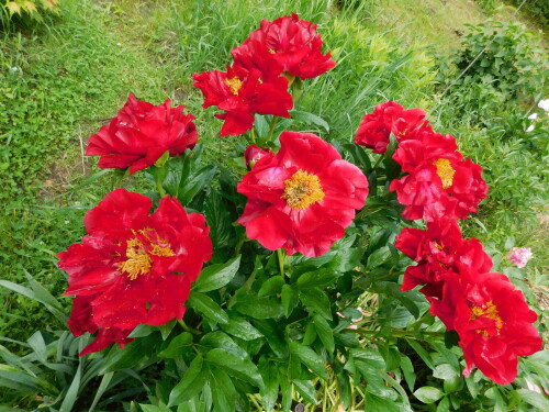 DSCN0128
