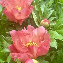 IMG_95605c7508c58fe3b018