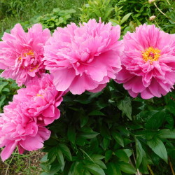 DSCN04289019c0f635c09cd4