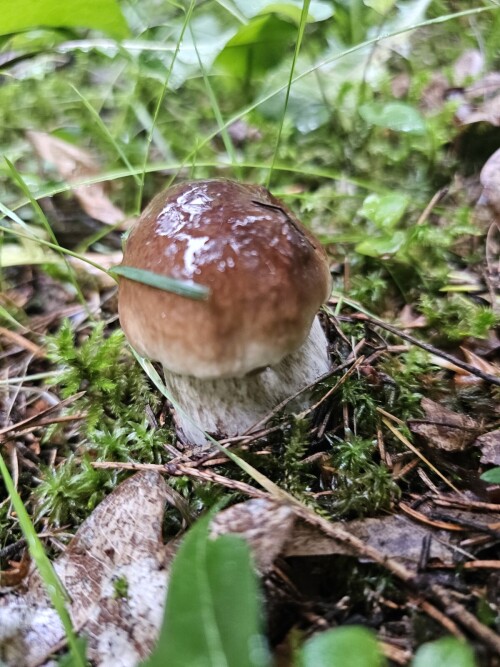 20250630_12404026bb26f56403c10d.jpg