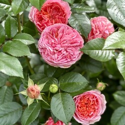 IMG_9771ecdcd902d8d038be