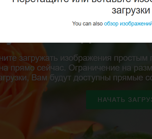 imagebe9c3832c4c6167b.png