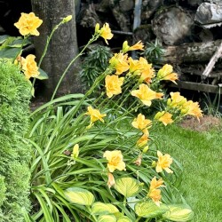 IMG_0174614e415b749cb806