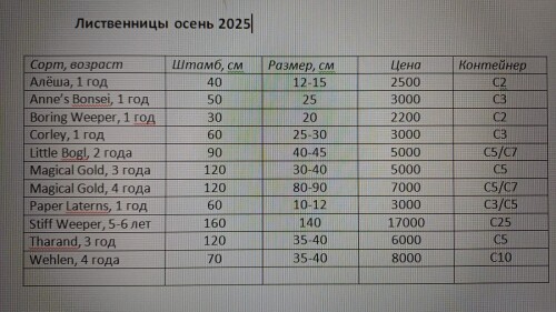 LISTVENNITY-OSEN-202534ee7647afbcf1ab.jpg