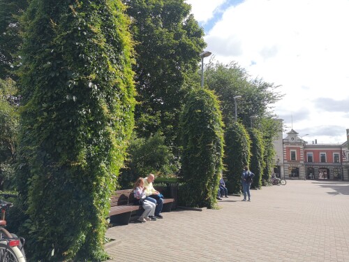 IMG 20250820 123049