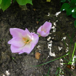 DSCN2088c546a20107d62322