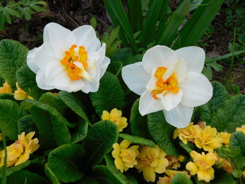 DSCN906231dd6bbbf307eeb6.jpg