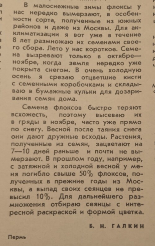 Флокс txt