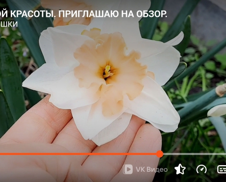 Screenshot_20251014-184321_1341bdf14c8e3cd31.jpg