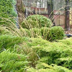 IMG_092336126d98fe10ecc9