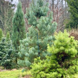 IMG_09483322e86b052efe49