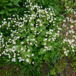 DSCN98756e5ed0f40eac7c6b