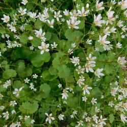 DSCN99912bf700d1fe2371f5