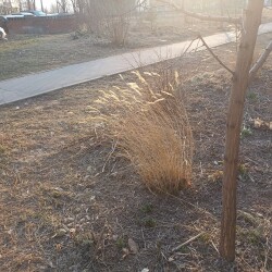 IMG_20250324_1736598352bd2325c59ac0